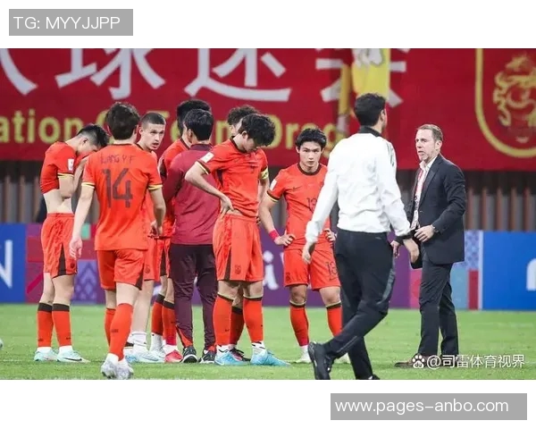 中超国字号主力难以匹敌西甲德甲水平足球经纪人直言不讳